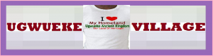 Ugwueke village is in Bende local government area of Abia state. It lies in the southeastern part of Nigeria. The village faces Ezeukwu and Isuikwuato at the west. Amaokwe Item at the East, Akaeze and Ishiagu in Ebonyi State at the north. Then Alayi is at the south. The nickname for this village is “FOOD BASKET”. Since there is an abundance of food in the land. This land is a great Agricultural site. Although, it needs the intervention of the government at a high level. The village needs basic amenities.