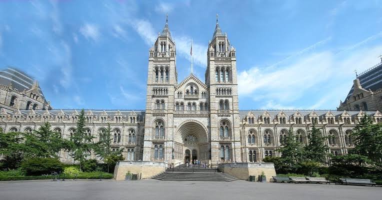 Natural History Museum a Top 20 Things to Do in London